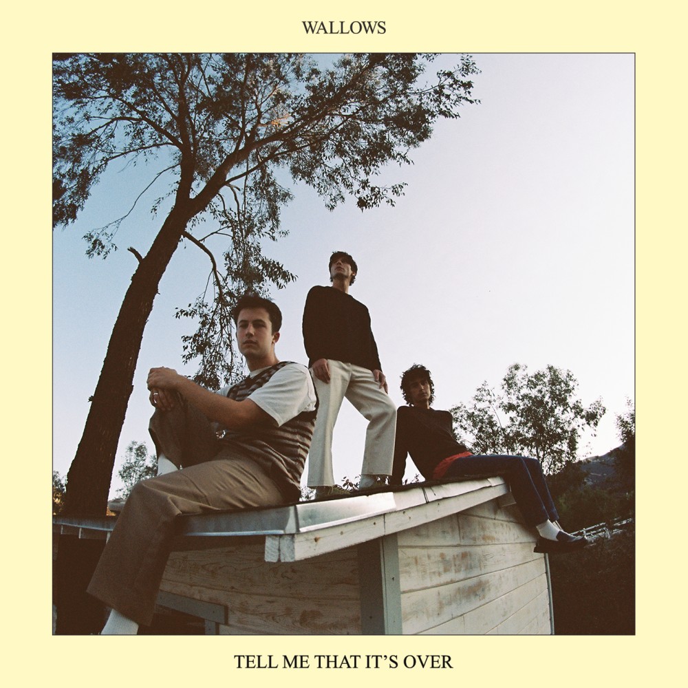 Wallows Album Cover