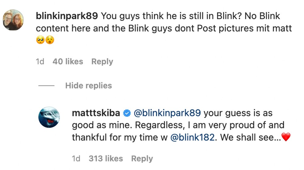 Matt Skiba, Blink 182