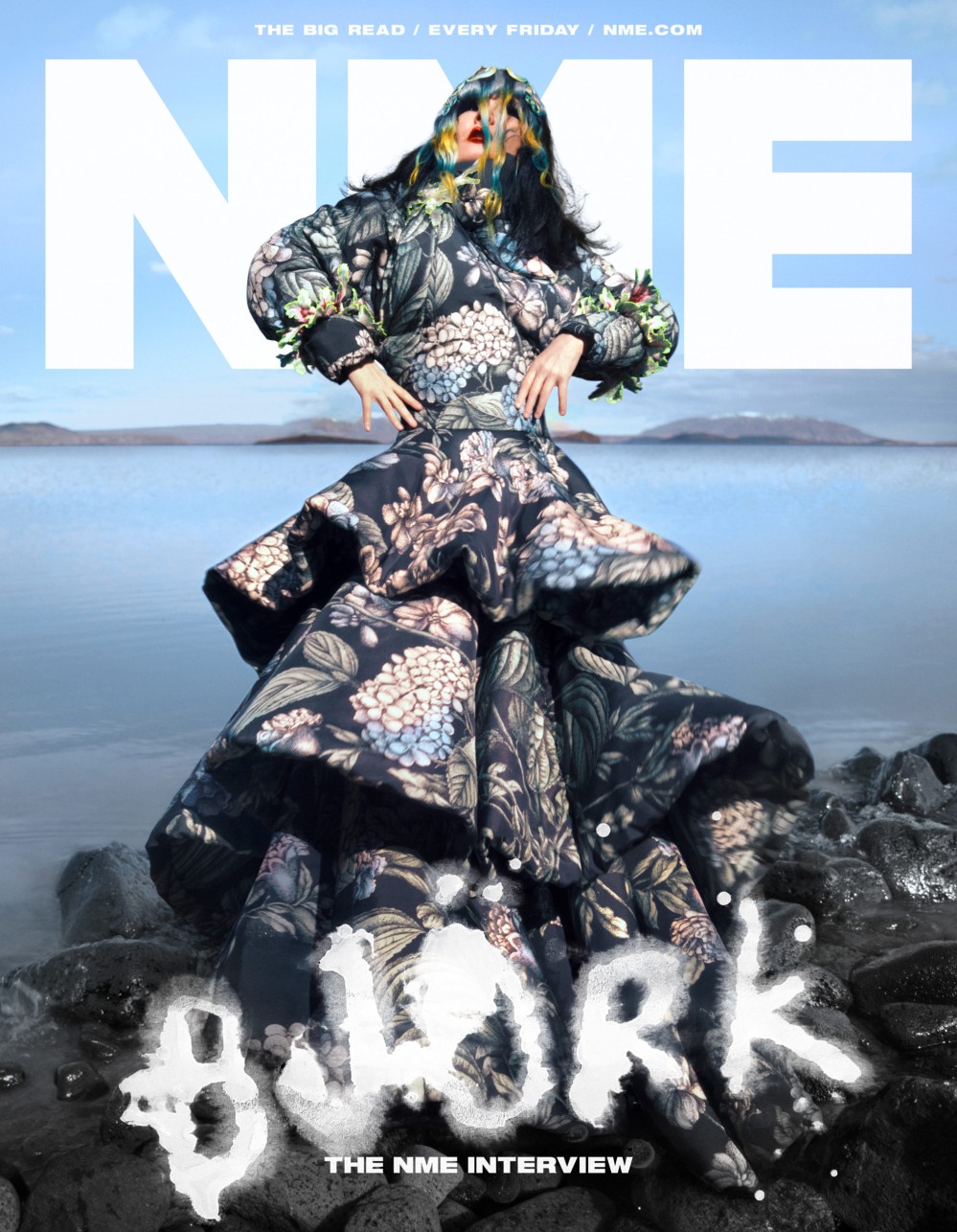 Björk on the cover of NME