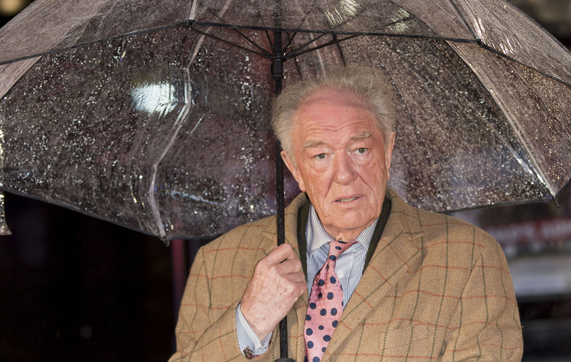 Michael Gambon