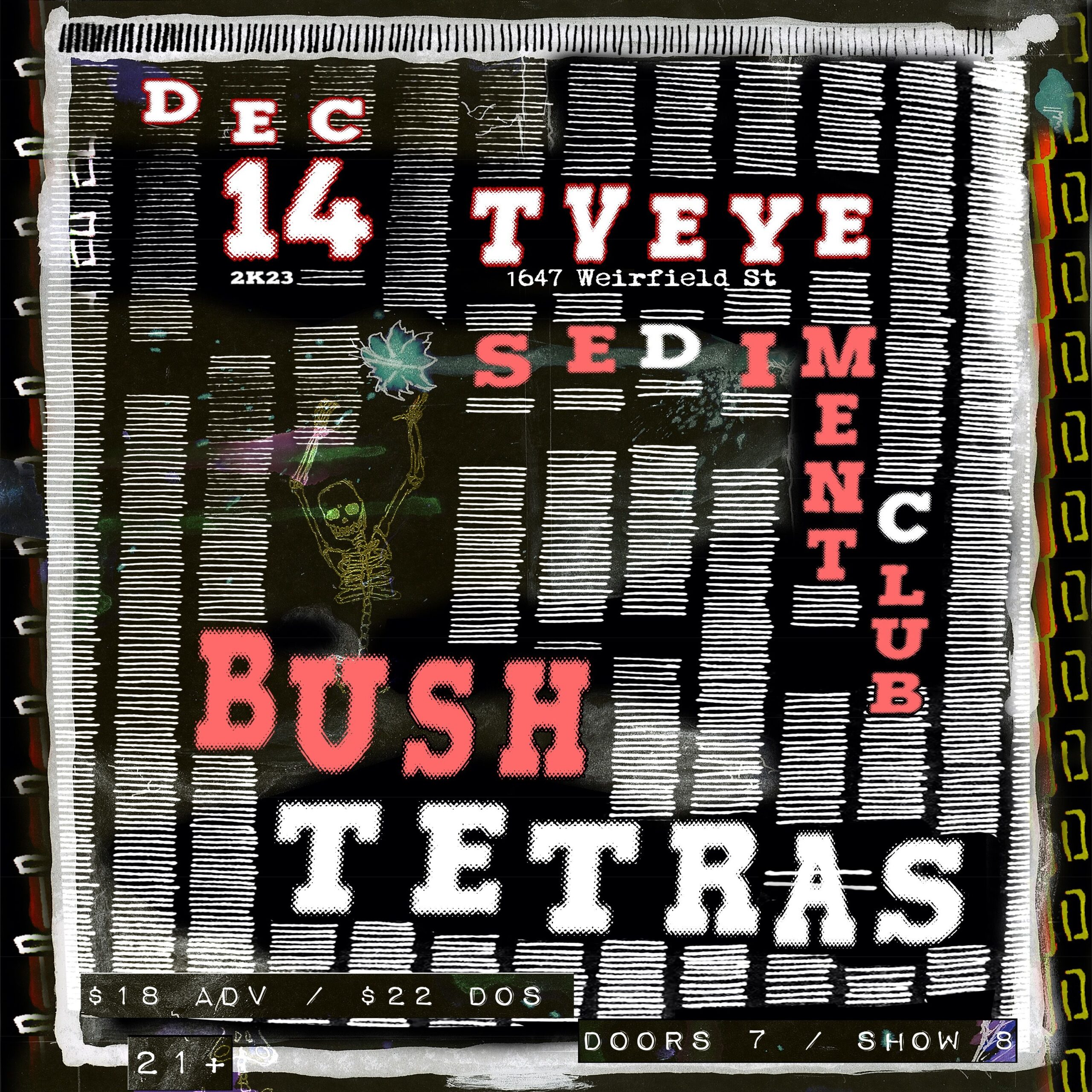 bush tetras tv eye