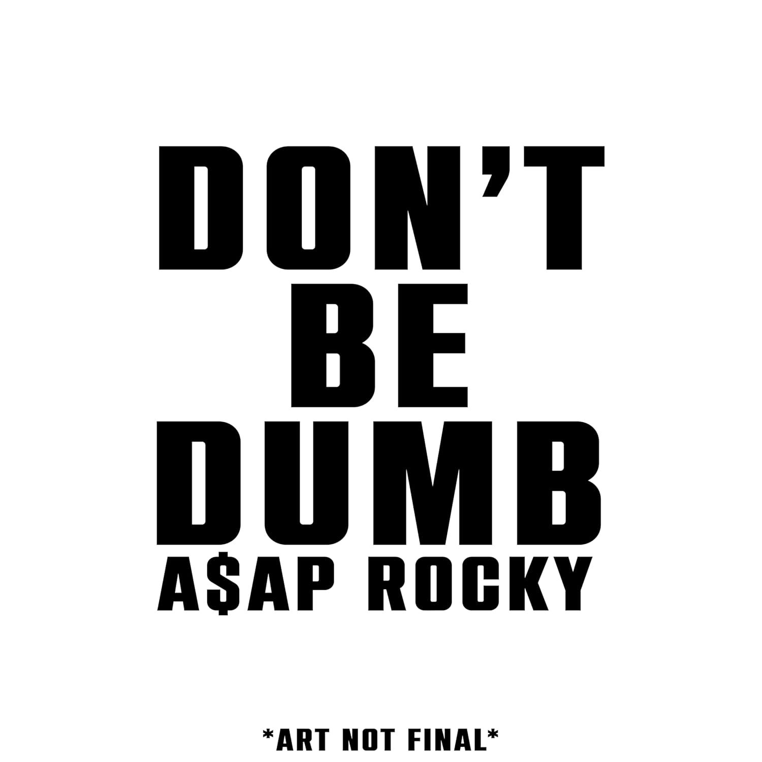 AAP Rocky Dont Be Dumb