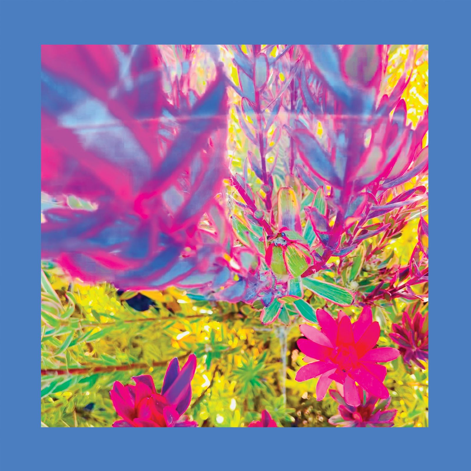 The Reds Pinks and Purples album artwork