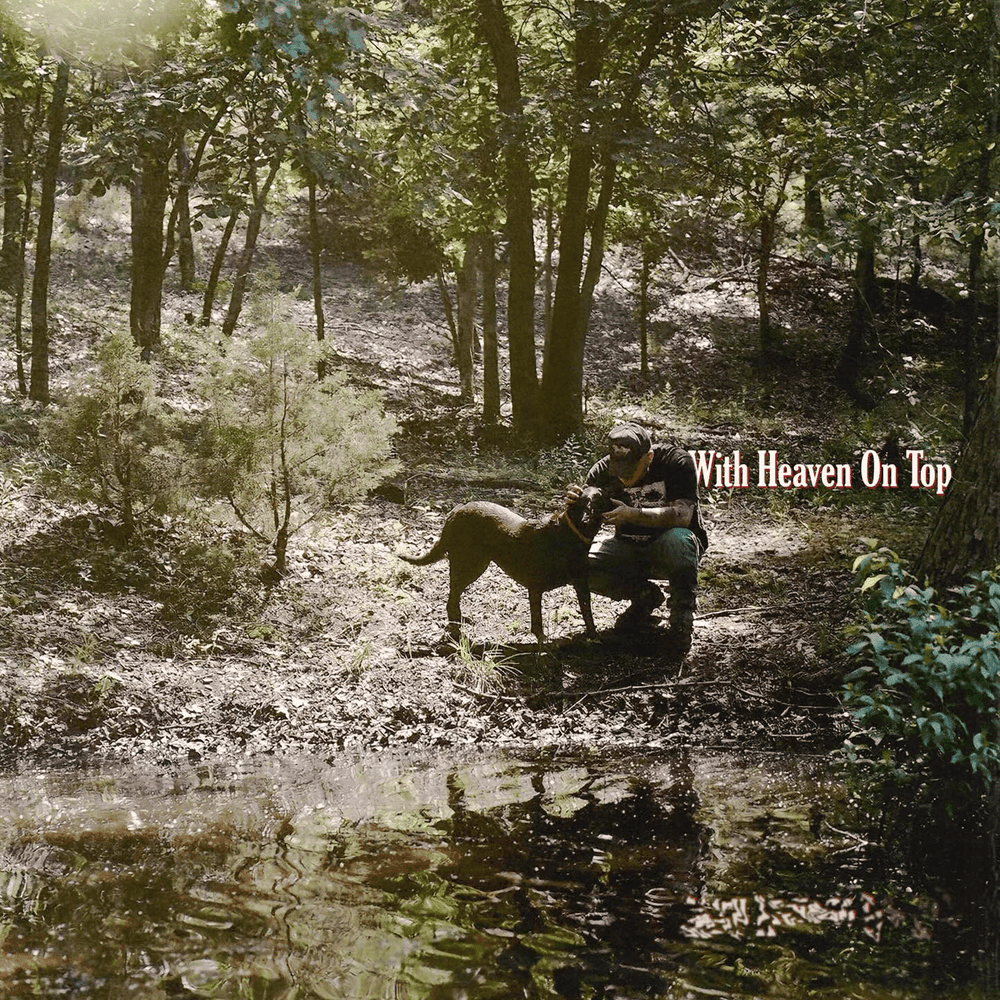 Image may contain Grove Land Nature Outdoors Plant Tree Vegetation Woodland Jungle Wilderness Rainforest and Pond