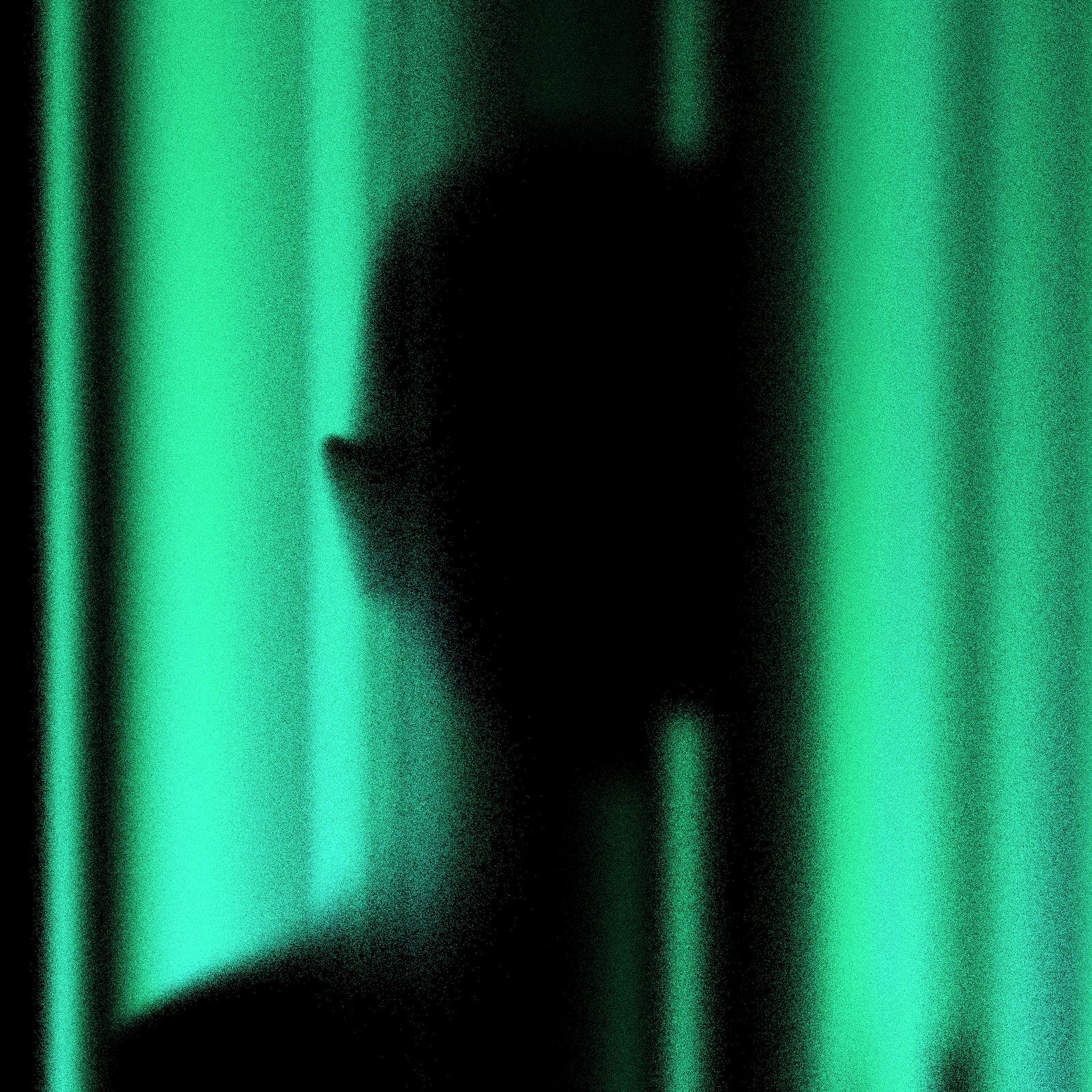 Image may contain Silhouette Lighting Green Clothing Hat Face Head Person Photography Portrait and Adult